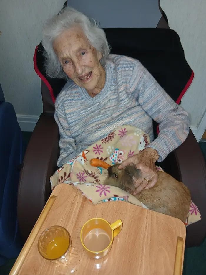 Our Services at Belmont House Care Home